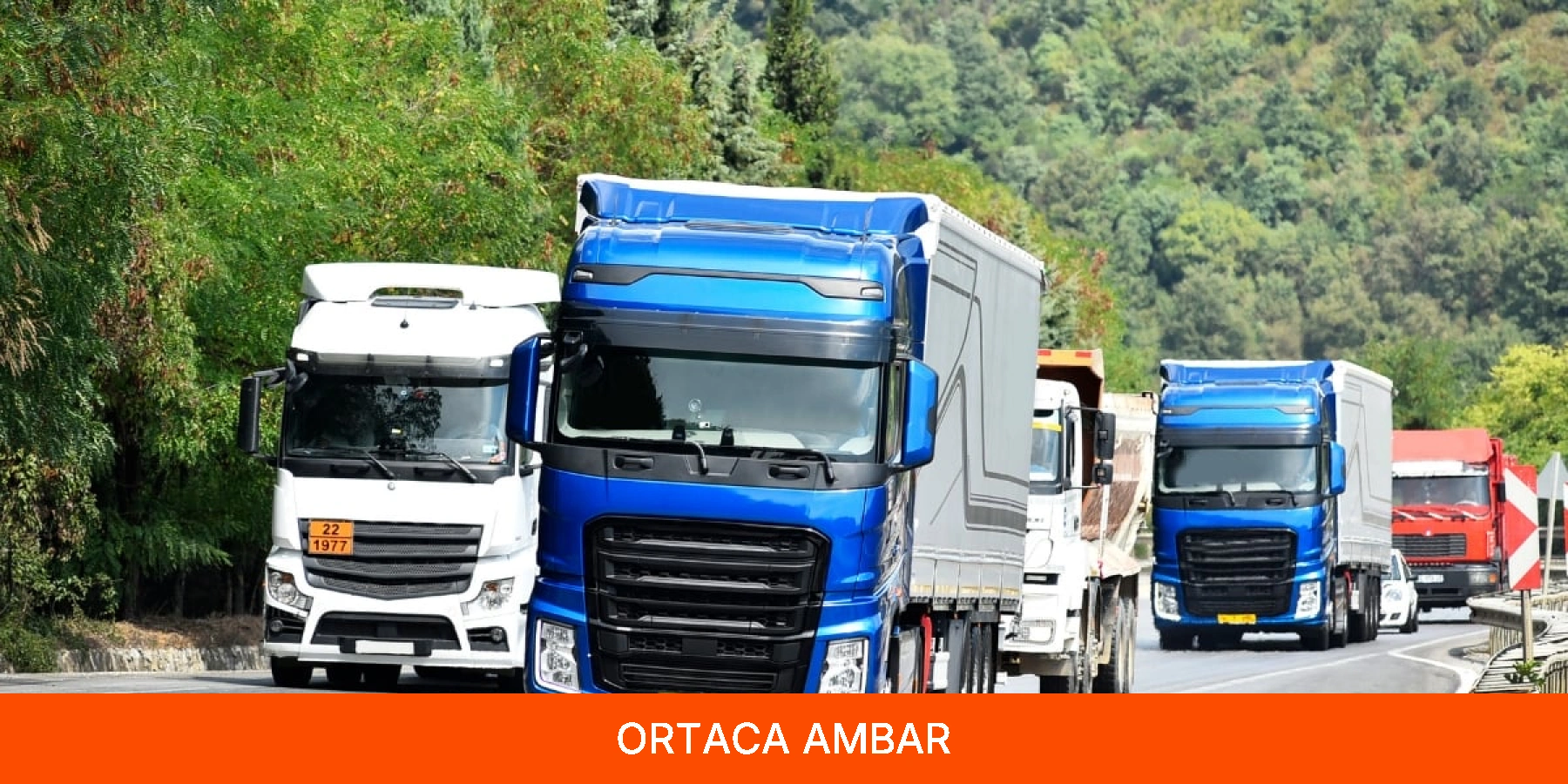Ortaca Ambar