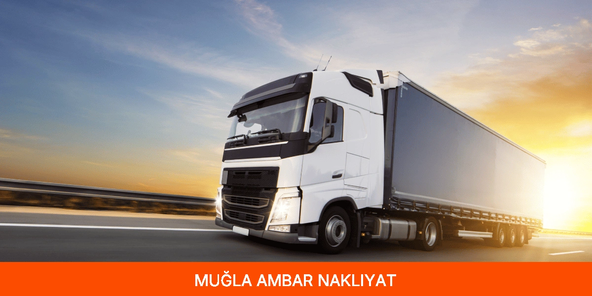 Muğla Ambar Nakliyat