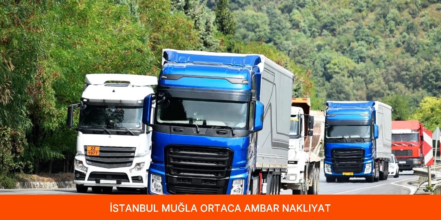 Ortaca Ambar